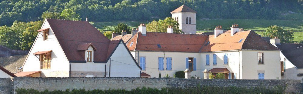 Hotel Les Deux Chevres Gevrey-Chambertin Exterior photo